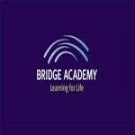 3. LOGO - Bridge Academy